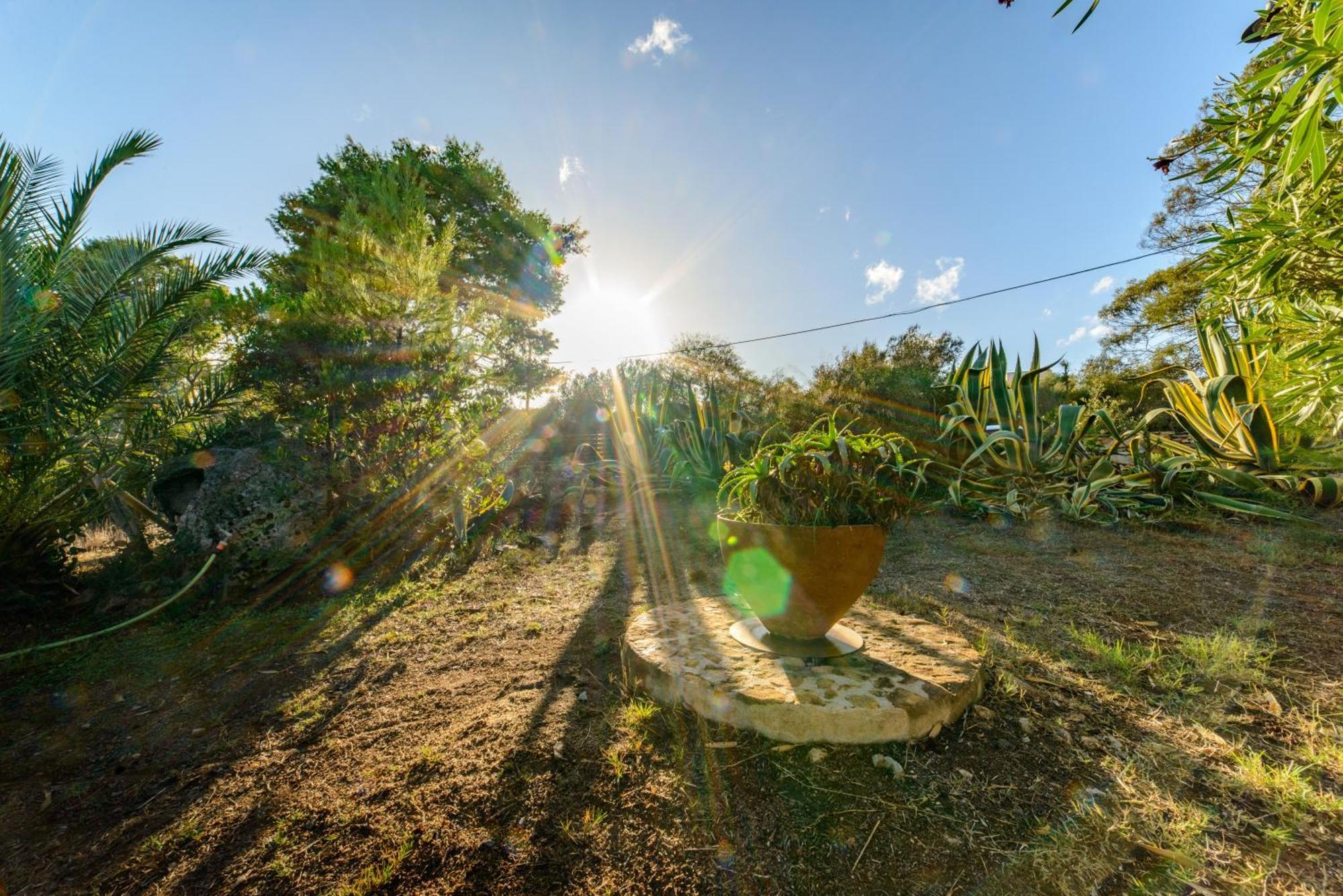 Maravilla Casa Vacanze Olbia Dış mekan fotoğraf