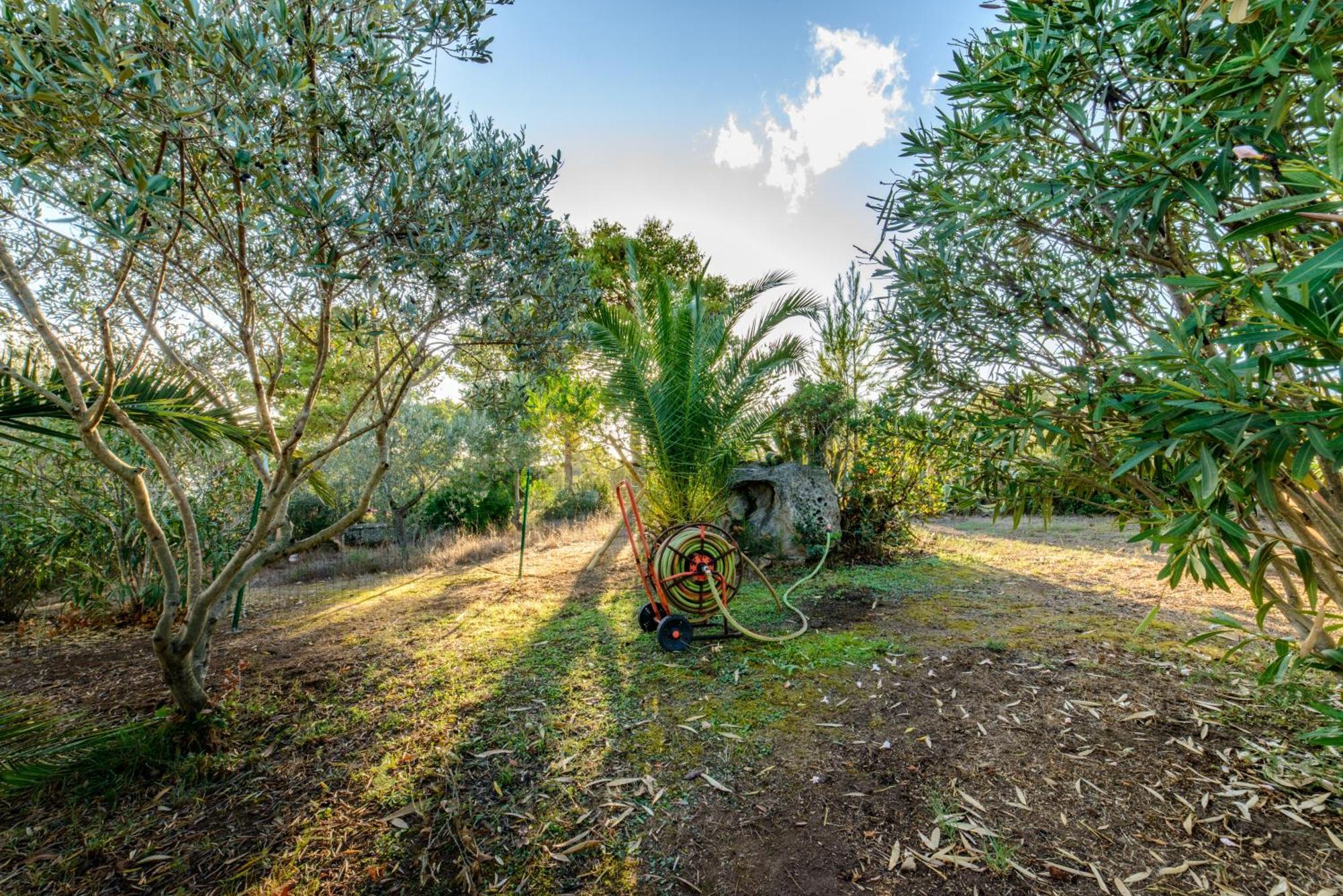 Maravilla Casa Vacanze Olbia Dış mekan fotoğraf